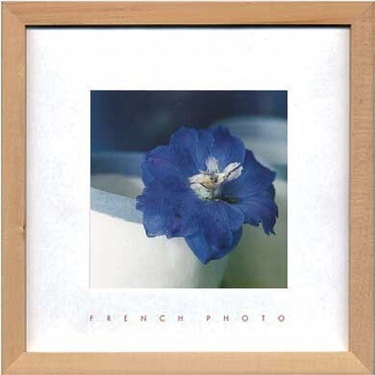 アートフレーム フレンチフォトグラフィ French Photography Delphinium elatum 220x220x20mm ZFP-51918 bic-7093218s1