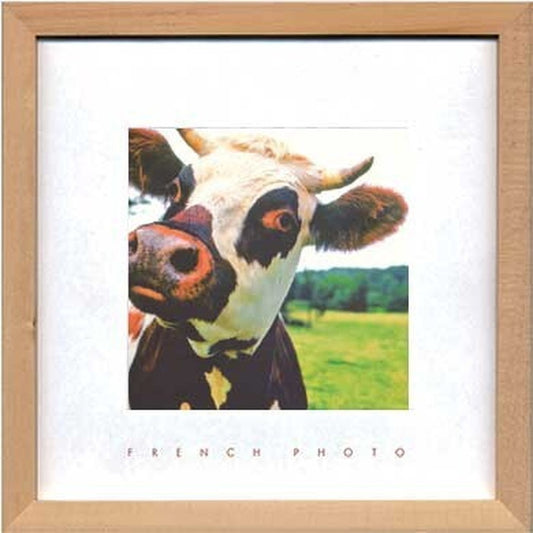 アートフレーム フレンチフォトグラフィ French Photography A Cow 220x220x20mm ZFP-51923 bic-7093222s1