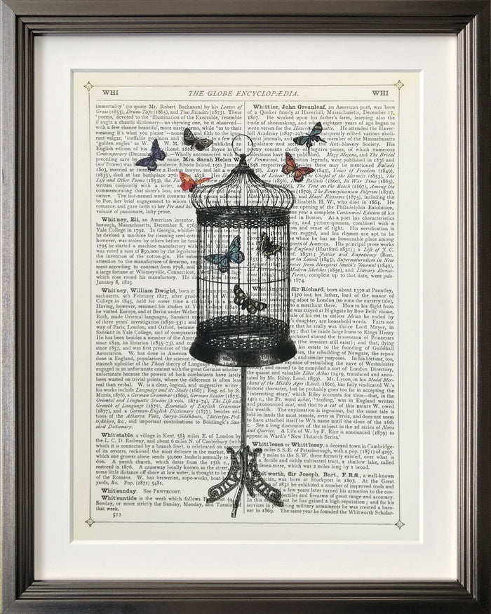 アートフレーム マリオン・マコネギー Marion McConaghie Bird Cage & Butterflies IMM-62129 bic-9129584s1