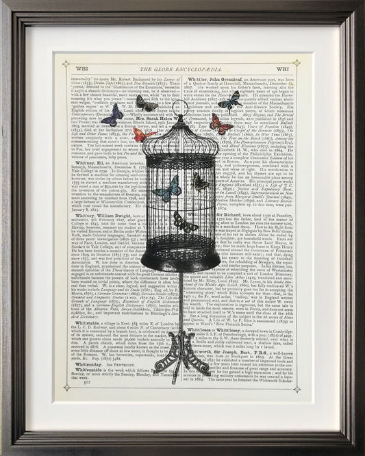 アートフレーム マリオン・マコネギー Marion McConaghie Bird Cage & Butterflies IMM-62129 bic-9129584s1