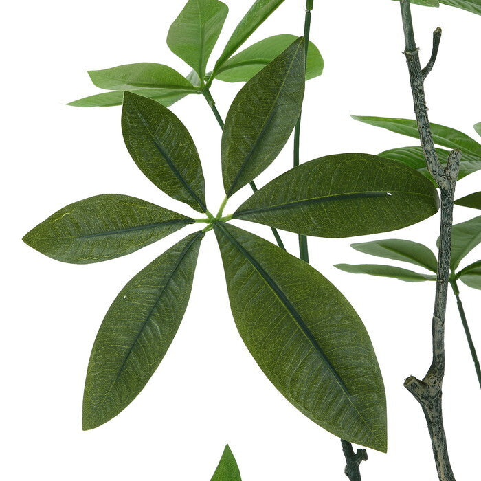 フェイクグリーン パキラ 150? ジョイント グリーン 完成品 一部取付 W600×D600×H1500mm 4.2kg fj-28055の画像