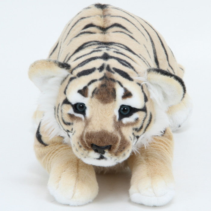 ブラウンタイガー 60CM 26807 ブラウン 幅350×奥行600×高さ190 fj-41324の画像