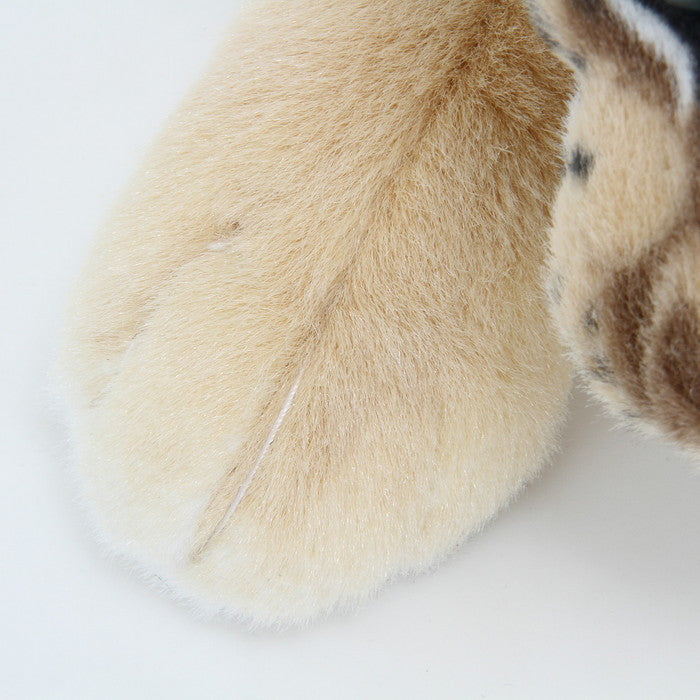 ブラウンタイガー 60CM 26807 ブラウン 幅350×奥行600×高さ190 fj-41324の画像