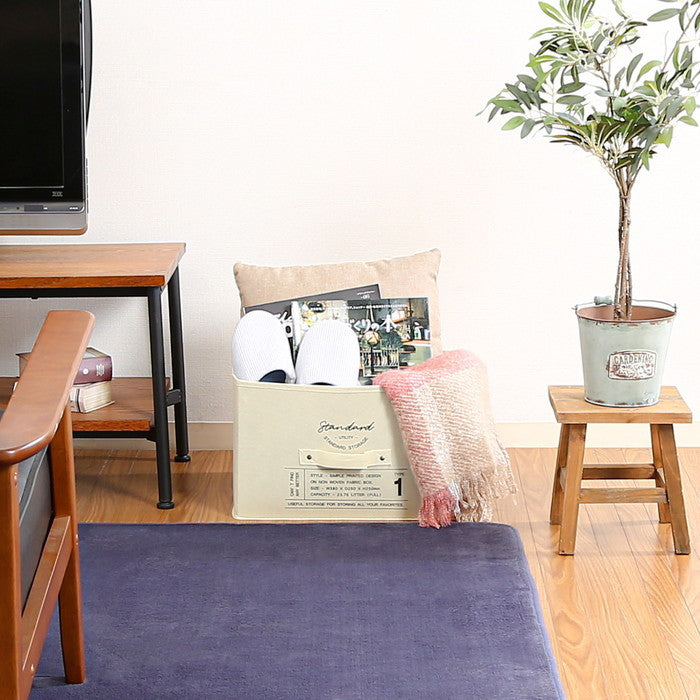 蓋付不織布インナー ボックス スタンダード IV 70454 アイボリー 幅380×奥行250×高さ250 fj-65284の画像