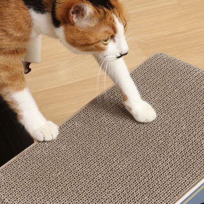 猫の爪とぎ 缶詰 54224 ナチュラル×ブルー 完成品 W450×D230×H270mm 1kg fj-68129の画像