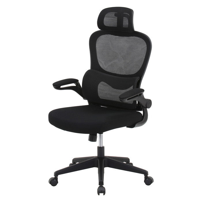 メッシュチェア ランバーサポート付き ルフト BK ブラック 組立品 W640×D630×H1110-1240mm 12.25kg fj-91010の画像