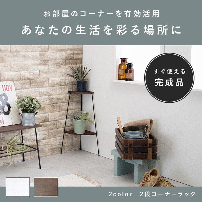 ラック KR-3846 幅25.5×奥行25.5×高さ55cm hgs-2101869500の画像