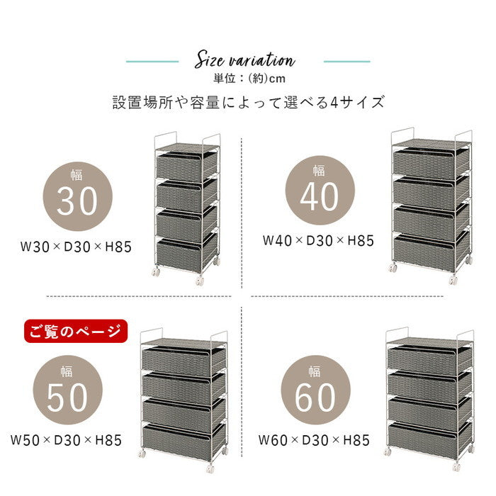 ランドリー RAN-2436 幅50×奥行30×高さ85cm hgs-3000000267