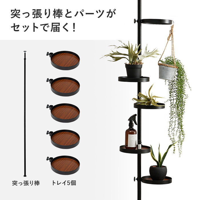 突っ張り棒＆パーツ 6点セット（丸型） KTR-3116 幅43×奥行43×高さ187〜264cm hgs-3000000416