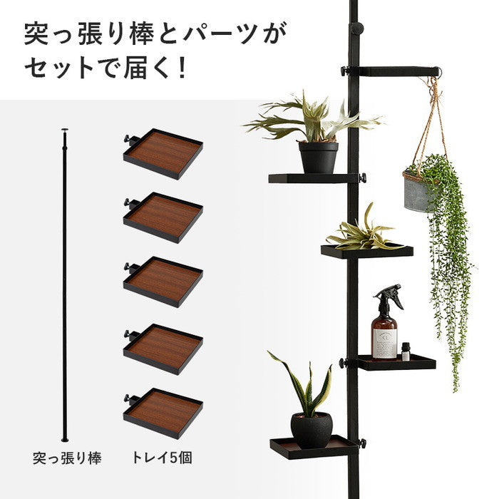 突っ張り棒＆パーツ 6点セット（角型） KTR-3117 幅43×奥行43×高さ200〜265cm hgs-3000000418