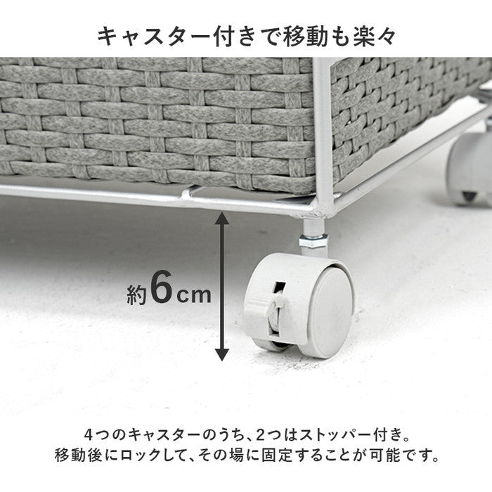 ランドリー RAN-2458 幅65×奥行35×高さ80cm hgs-3000004273の画像