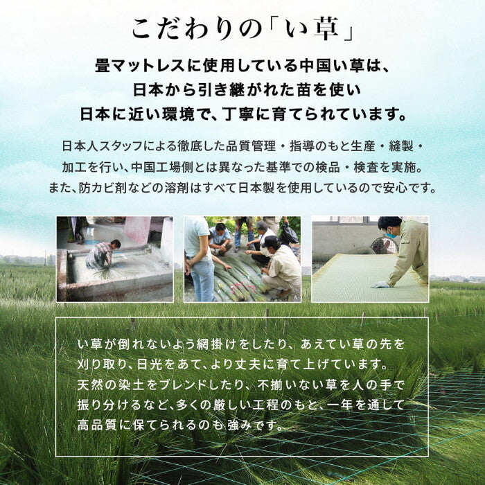 組立簡単 畳シングルベッド ライトブラウン/クラマ プレーンナチュラル/クラマ 幅100×奥行207.5×高さ65×座面高36cm MB-5152S hgs-3000005589の画像
