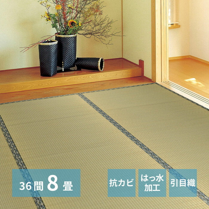い草カーペット 白馬 36間8帖 hig-142736780xの画像