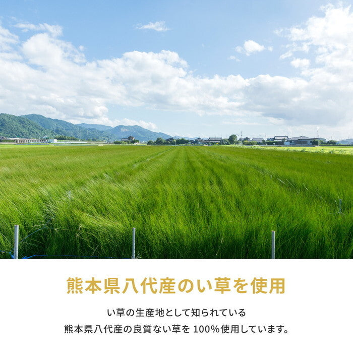 国産い草カーペット 琥珀 江戸間1帖 hig-158002700xの画像