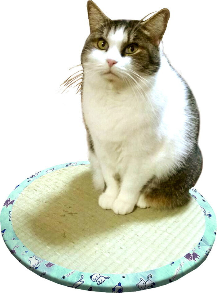 い草雑貨 ねこちゃん畳2 hig-159020270xの画像