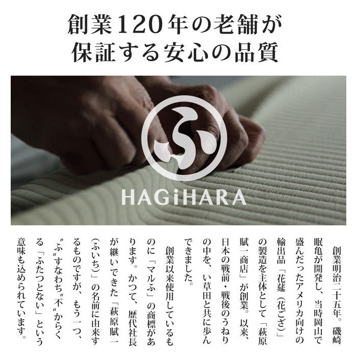 PVC置き畳フラッタ 約82×82×1.5cm ベガ レオ カロル hig-159056200xの画像