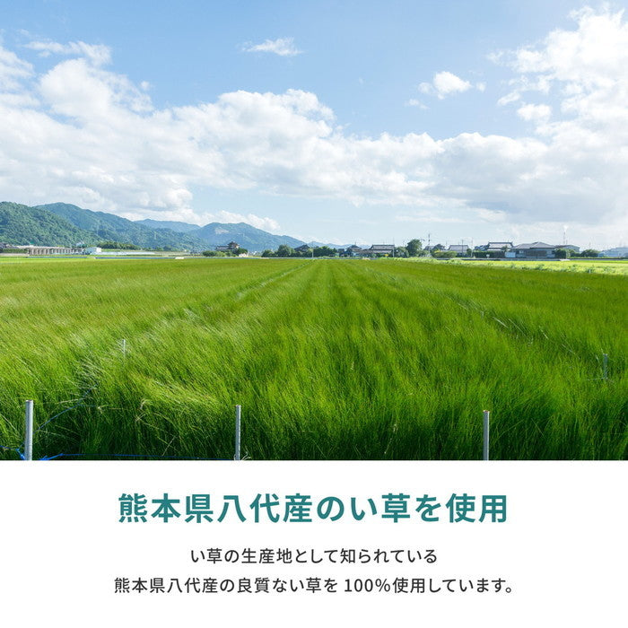 国産い草上敷 天草 (あまくさ) 江戸間 6帖 6畳 双目織 熊本のい草 畳の保護 hig-159058660