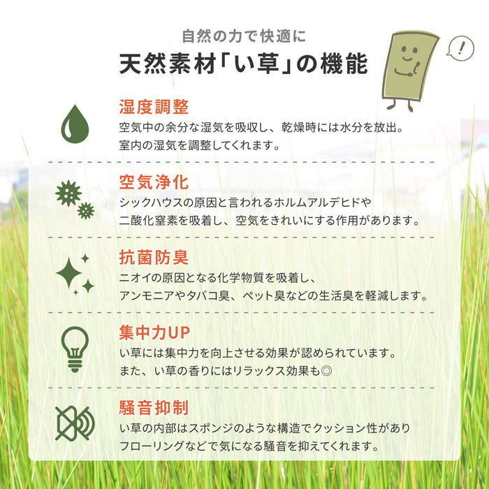 い草上敷 柳川 (やながわ) 団地間 10帖 10畳 双目織 お手頃 リーズナブル 畳の保護 hig-159067790の画像