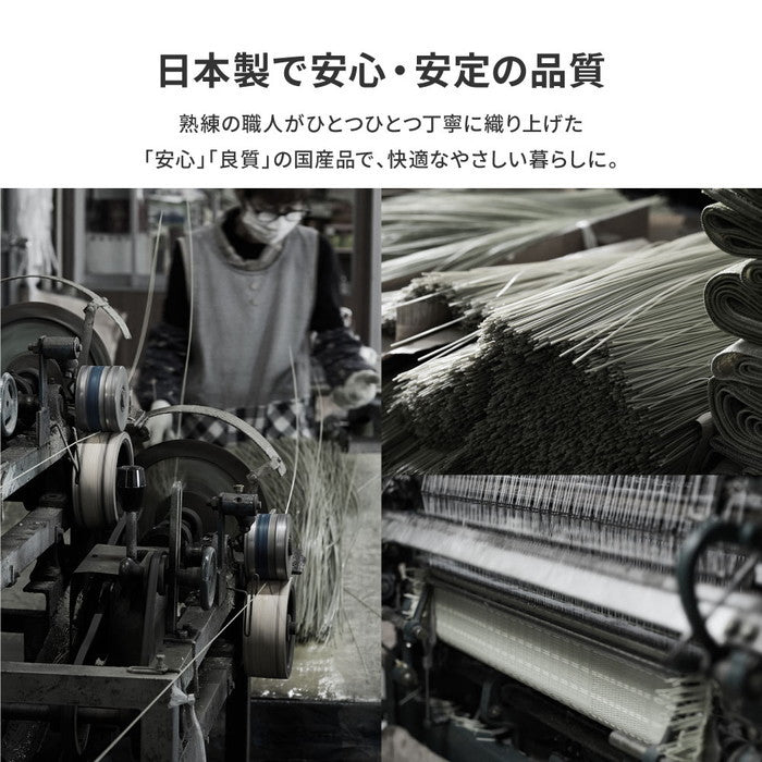 洗える い草風 カーペット ライアン 江戸間 6帖 6畳 PP ラグ ビニール風 上敷 ござ 畳の保護 hig-18912460x