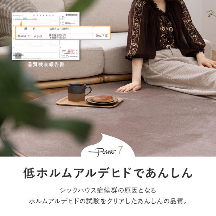 洗えるラグ メレンゲタッチ 約160×220cm 楕円形 洗濯機で洗える ウォッシャブル 滑り止め付き フランネル ホットカーペットカバー hig-240620531xの画像