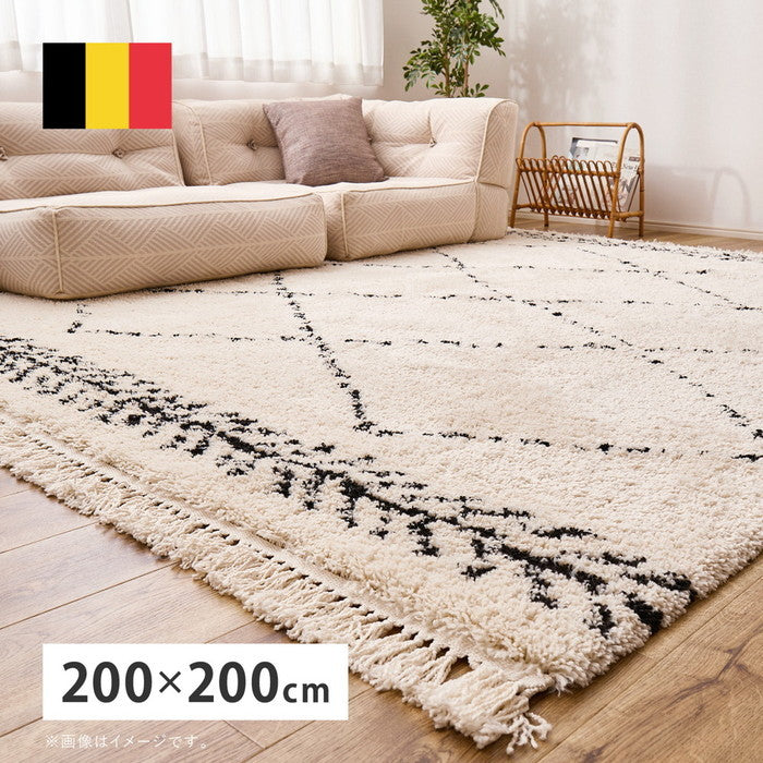 ウィルトンラグ BOHO 約200×200cm ベニワレン風 モロッコ風 モロッカンラグ ふかふか シャギー ベルギー製 hig-240623660xの画像