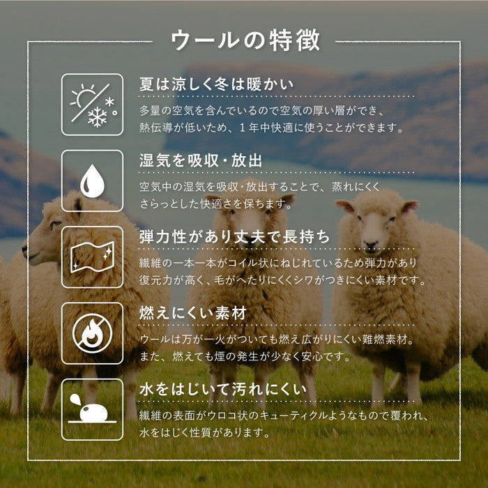 ギャッベ 玄関マット 約60×90cm ギャベ GABBEH D21 D22 D23 D24 ウール 羊毛 アクセントマット インテリアマット hig-270034720xの画像