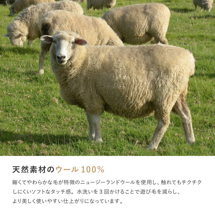 無染色ウール ギャッベ ラグ LORRI BUFF L16・L17 約200×200cm 無染色ベージュ 無染色ブラック hig-270054960xの画像