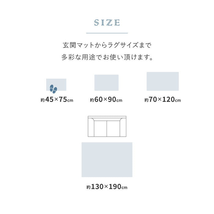 シェニールマット シュリア ダーシャ 約45×75cm 玄関マット インテリアマット 室内 屋内 ジャガード織 オールシーズン hig-270092401xの画像