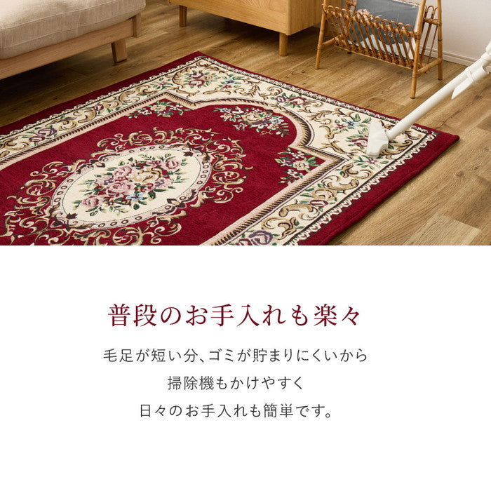 シェニールマット ダミニ 約45×75cm 玄関マット インテリアマット ウレタン入り ふっくら 厚手 室内 屋内 ジャガード織 オールシーズン hig-270092421xの画像