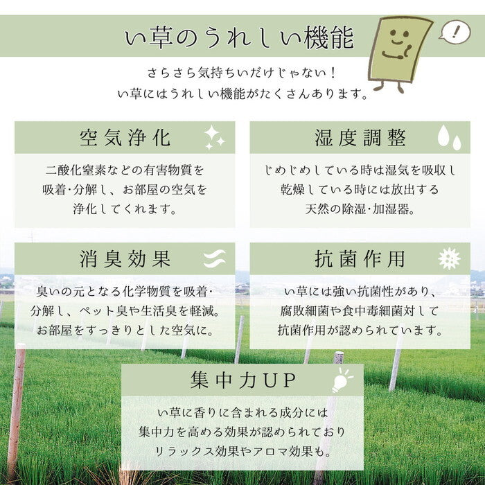国産い草ラグ 吉兆 約191×250cm ナチュラル hig-28001412xの画像