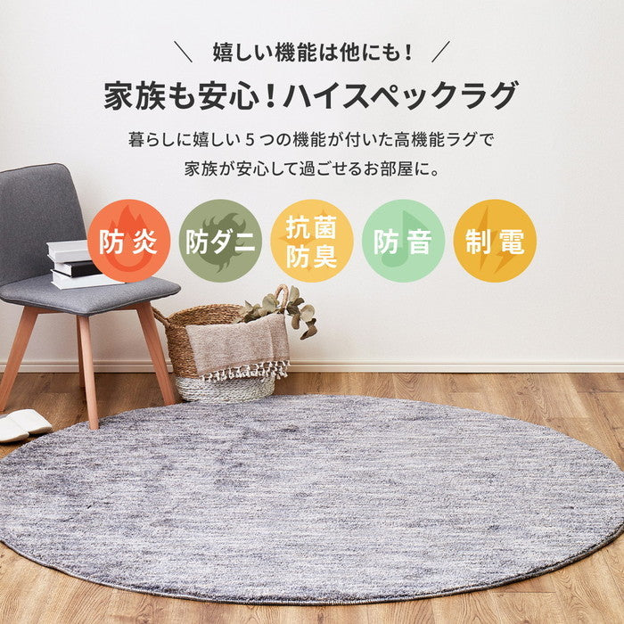 国産高機能ラグ ビビ 約130×190cm 防ダニ 抗菌 防臭 防音 防炎 制電 日本製 ナイロンラグ 無地 hig-350116700xの画像