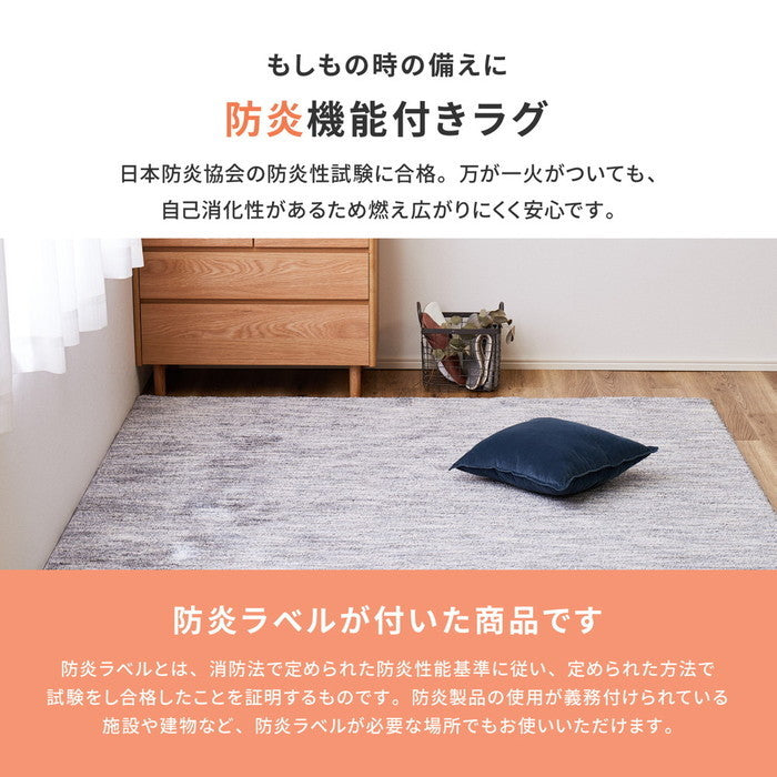 国産高機能ラグ ビビ 約130×190cm 防ダニ 抗菌 防臭 防音 防炎 制電 日本製 ナイロンラグ 無地 hig-350116700xの画像