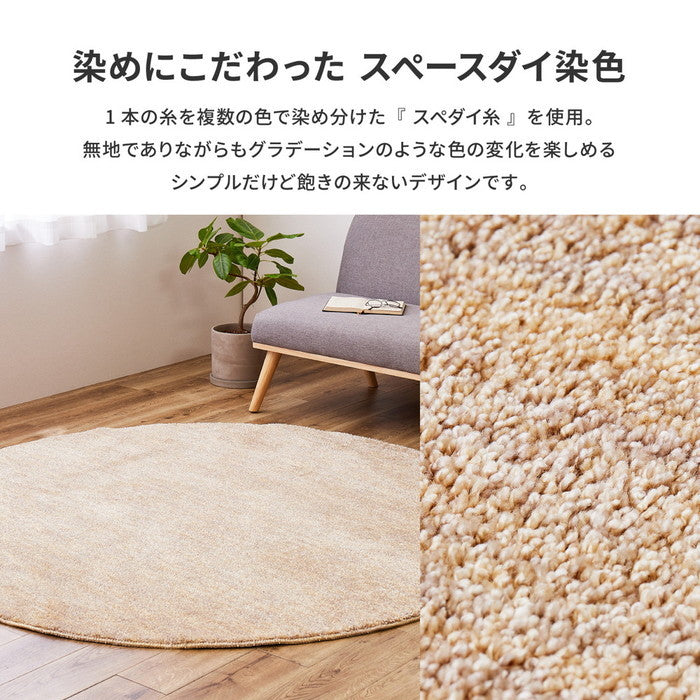 国産高機能ラグ ビビ 約190×240cm 防ダニ 抗菌 防臭 防音 防炎 制電 日本製 ナイロンラグ 無地 hig-350116702xの画像