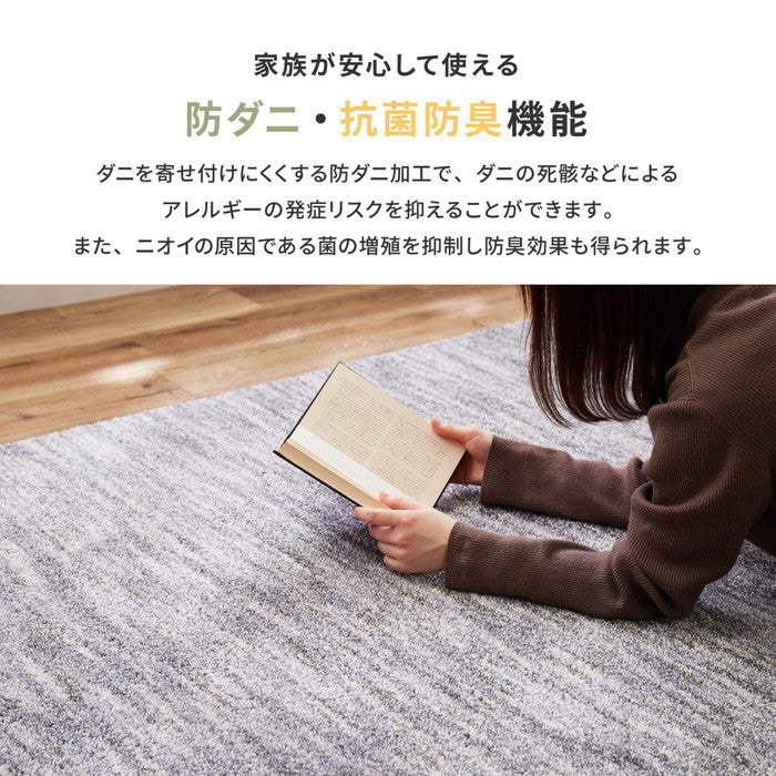 国産高機能ラグ ビビ 約190×240cm 防ダニ 抗菌 防臭 防音 防炎 制電 日本製 ナイロンラグ 無地 hig-350116702xの画像