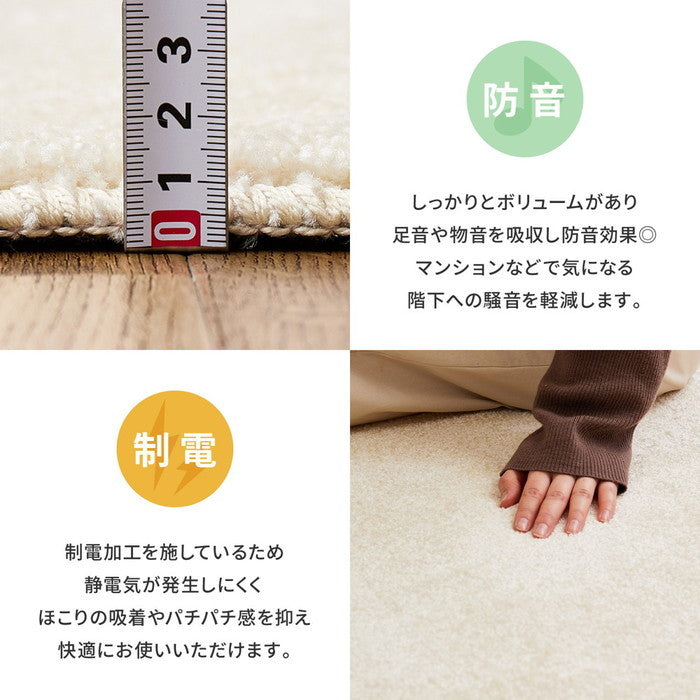 国産高機能ラグ ララ 約190×240cm 防ダニ 抗菌 防臭 防音 防炎 制電 日本製 ナイロンラグ 無地 hig-350116802xの画像