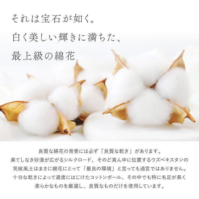 洗える オーガニックコットンラグ 約185×185cm 綿100％ ウズベキスタン サマルカンダリア 抗菌加工 防臭 洗濯機で洗える 日本製 hig-350125201xの画像