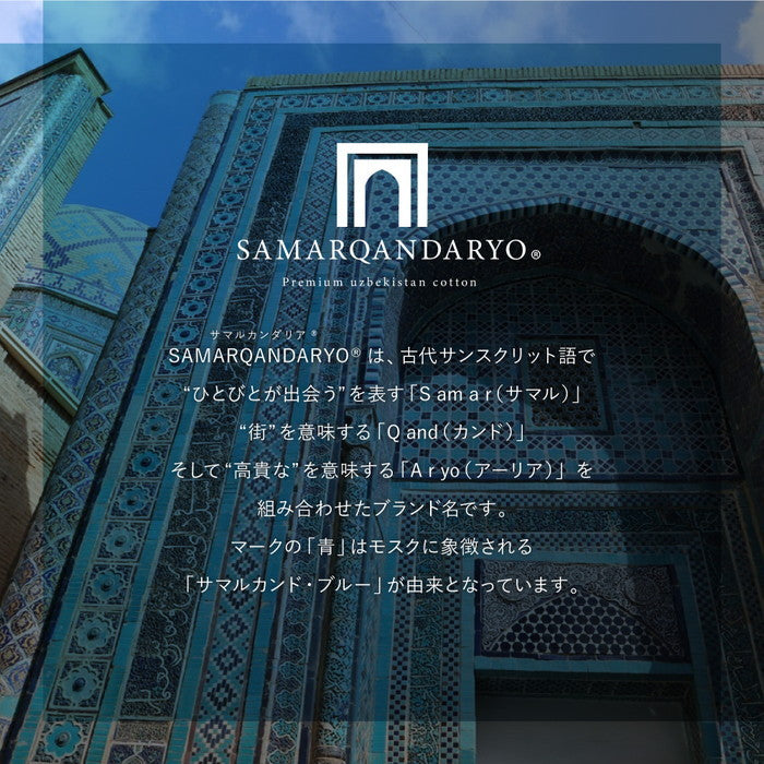 洗える オーガニックコットンラグ 約185×240cm 綿100％ ウズベキスタン サマルカンダリア 抗菌加工 防臭 洗濯機で洗える 日本製 hig-350125202xの画像