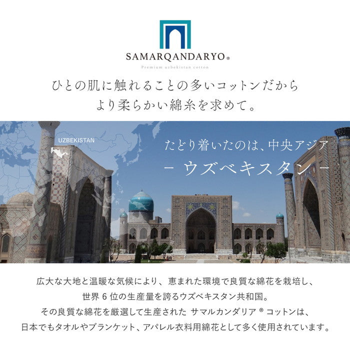 洗える オーガニックコットンラグ 約185×240cm 綿100％ ウズベキスタン サマルカンダリア 抗菌加工 防臭 洗濯機で洗える 日本製 hig-350125202xの画像