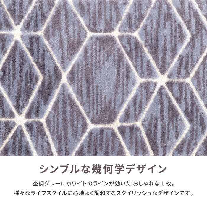 玄関マット クロード 約50×80cm 滑り止め シンプル モダン グレー 室内 屋内 エントランスマット hig-600008300xの画像