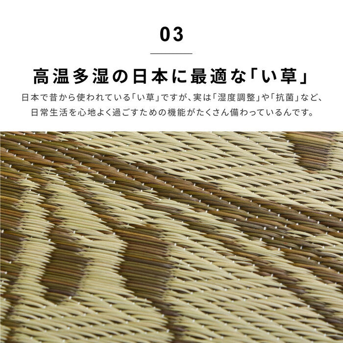 い草ラグ 裏貼り フェアリー 約230×230cm ブルー hig-81833904xの画像