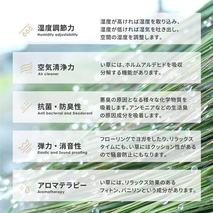 い草ラグ 裏貼り フェアリー 約230×230cm ブルー hig-81833904xの画像