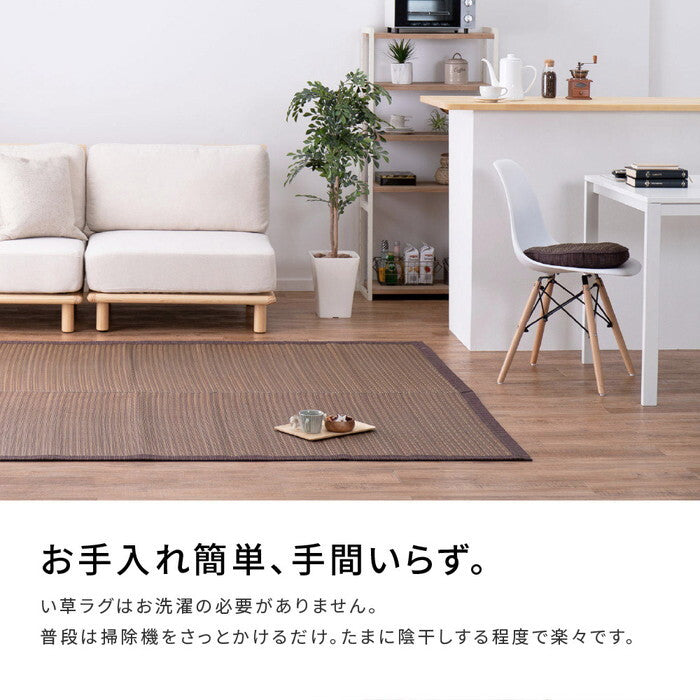 い草ラグ 裏貼り 南風 約191×240cm ブラウン hig-81847301xの画像