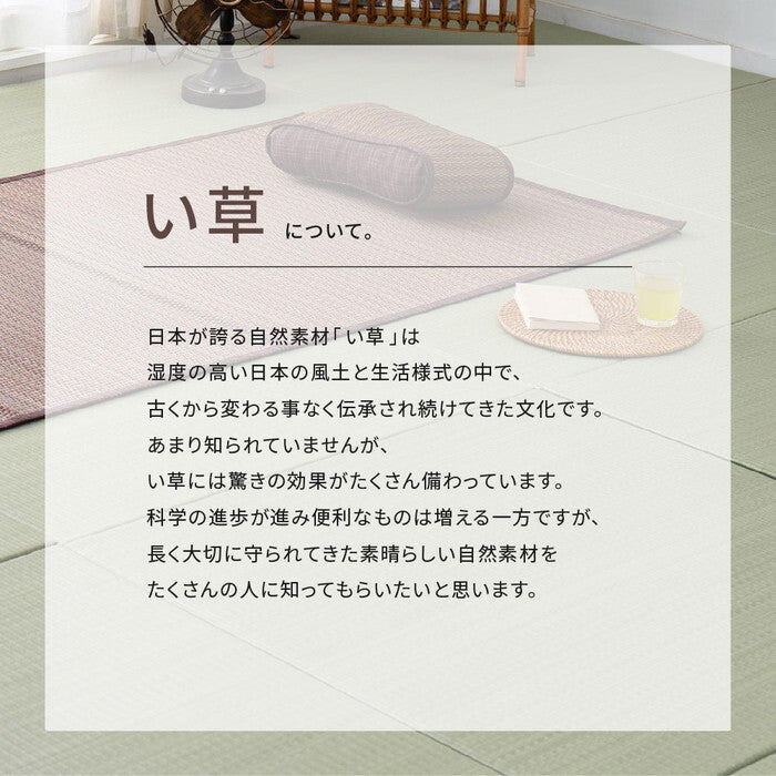い草ラグ 裏貼り 南風 約191×240cm ブラウン hig-81847301xの画像