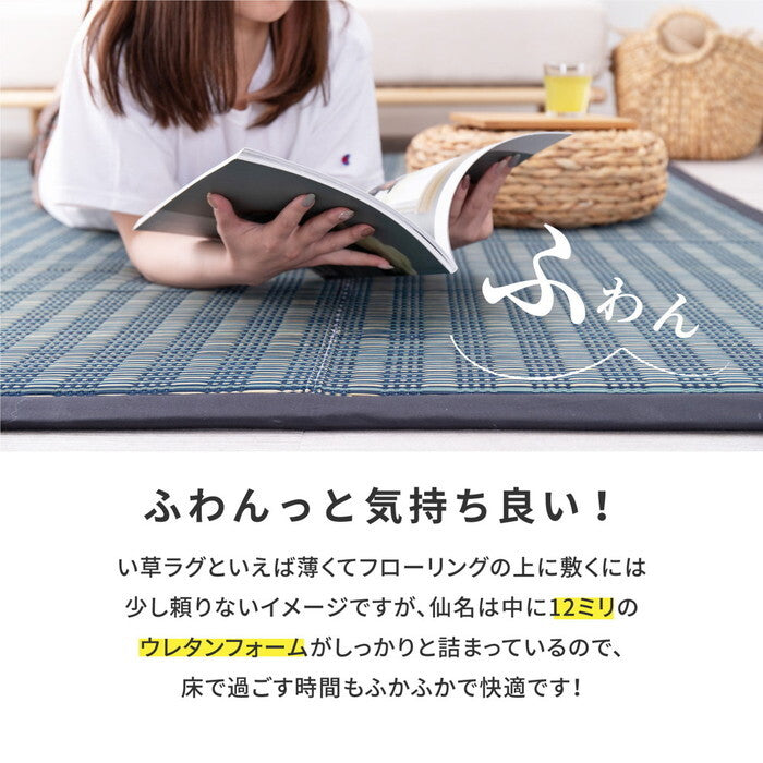 い草ふっくらラグ 仙名 約180×240cm ブルー ベージュ hig-81848401xの画像