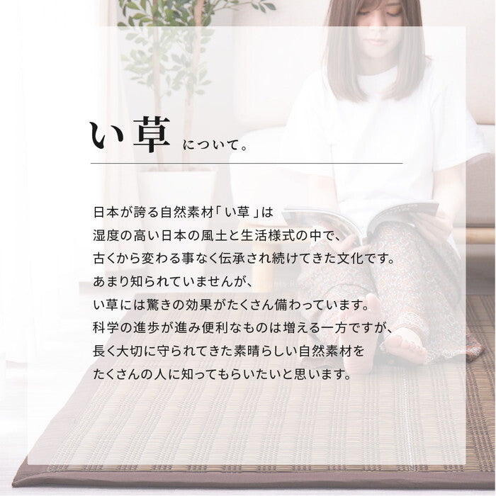 い草ふっくらラグ 仙名 約180×240cm ブルー ベージュ hig-81848401xの画像