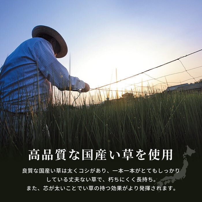 国産い草ラグ 裏貼り 右京 約191×191cm ベージュ hig-81894305xの画像