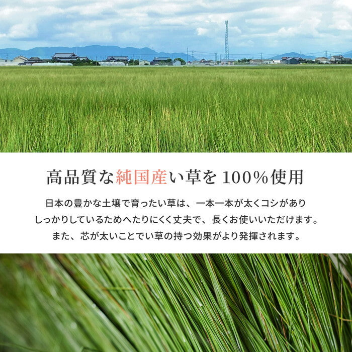 国産い草ラグ 裏貼り エンペラー 約250×250cm グリーン hig-81906803xの画像