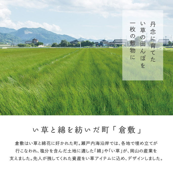 国産い草カーペット せとのと 倉ノ戸 江戸間 8帖 8畳 柄上敷き 花ござ い草ラグ hig-81966280x