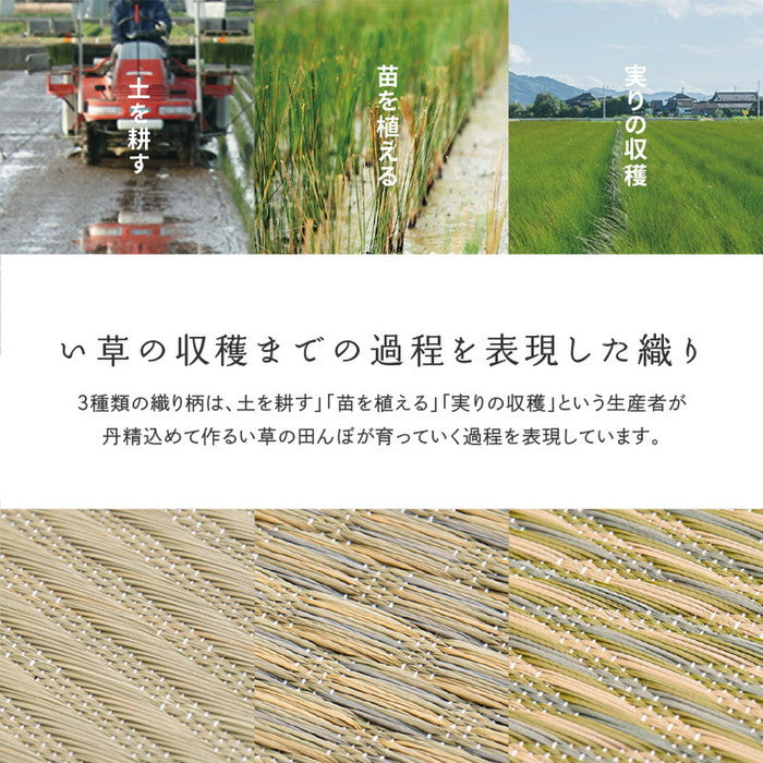 国産い草カーペット せとのと 倉ノ戸 江戸間 8帖 8畳 柄上敷き 花ござ い草ラグ hig-81966280x