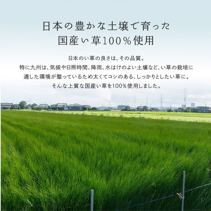 国産い草カーペット せとのと 倉ノ戸 江戸間 8帖 8畳 柄上敷き 花ござ い草ラグ hig-81966280x